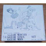Pretty Guardian Sailor Moon Gale Force 1/4 Garage Kit Sailor...