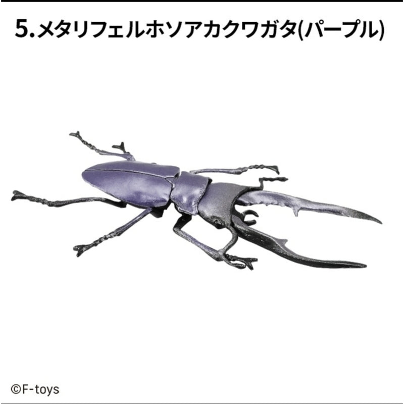?Insect Hunter 2025 Metallifer Stag Beetle