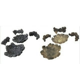 ¡ðSet of 2 types Gashapon! Collection Effect Series...