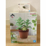 Ichiban Kuji Reptiles & Amphibians Tiny Friends vol.3 Prize C: Nihon A...