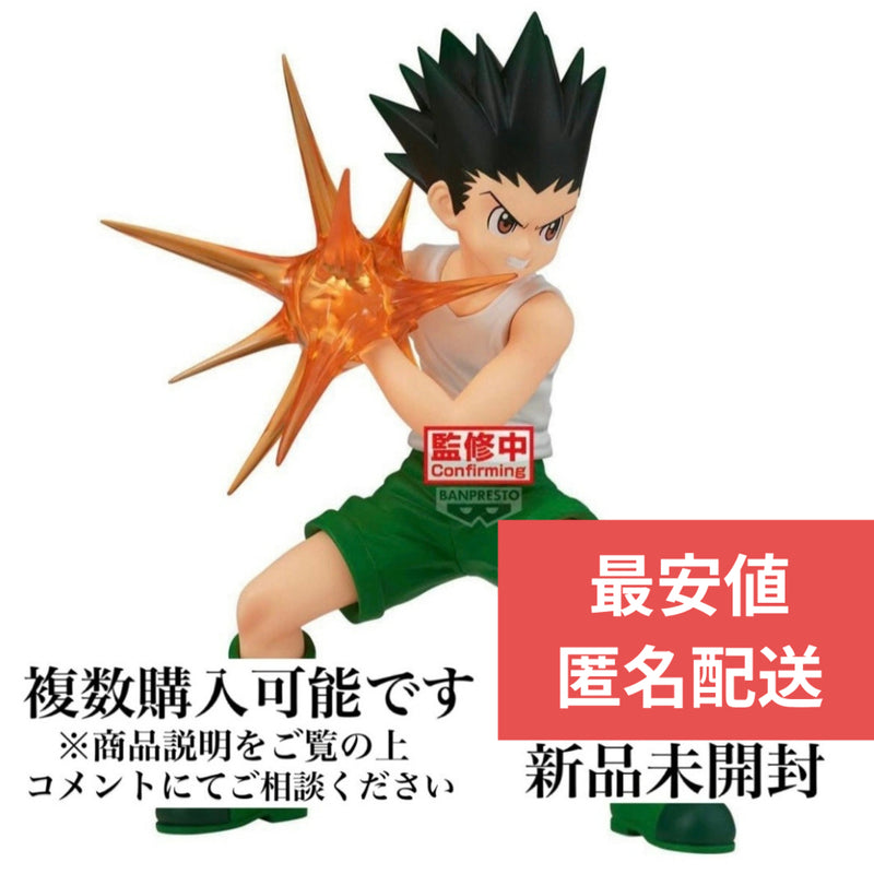 HUNTER¡ÁHUNTER VIBRATION STARS -Gon-