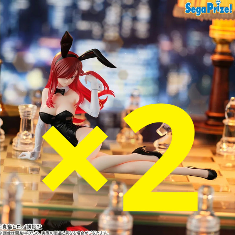 FAIRY TAIL Yumemirize Erza Scarlet (Set of 2)