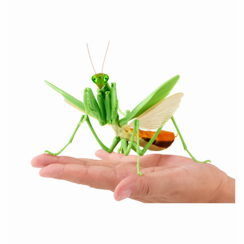 Encyclopedia of Living Things: Praying Mantis (Giant Praying Mantis) - Brand New, Unopened...