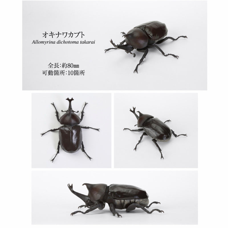 The Great Encyclopedia of Living Things: Beetles 11 - Okinawa Beetle Insect Figurine...