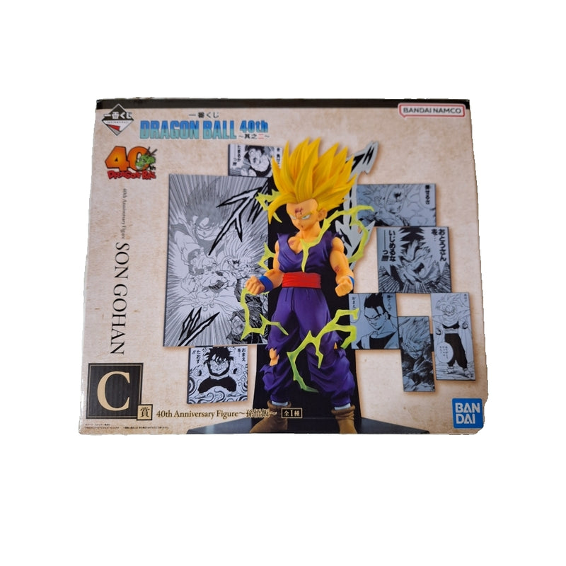 Dragon Ball Ichiban Kuji Prize C