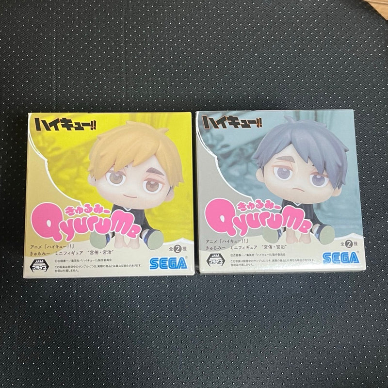 ¡îHaikyuu!! Kyurumi Miya Brothers