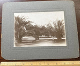 Photo on Board, Woman in Hat sitting under Palm Trees, Los Angeles Model