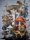 Printed Cross Stitch Mushroom Botanical Design 11ct40x50cm 20 Colors Toolkit Bag Model
