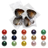 1-50pack Individually Wrapped Oysters whith Natural Pearl Holiday Birthday Gift Charms