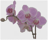 Cross Stitch Pattern by Florashell - Pink Orchid Spray Flower Model