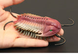 1/6 Scale Simulation Trilobite Model For 12" Action Scene Accessories 11*2.6CM Model