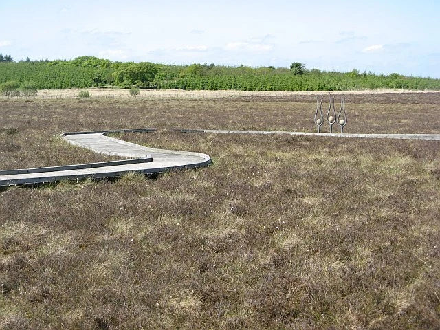 Photo 6x4 Board walk, Blawhorn Moss Blackridge A raised walkway allowing  c2009 Model