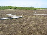 Photo 6x4 Board walk, Blawhorn Moss Blackridge A raised walkway allowing  c2009 Model