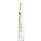 Eva Rosenstand counted cross stitch kit "Sedge warbler", 25x136cm, DIY Model