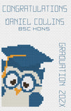 Owl Graduation Cross Stitch Card Kit or Pattern - by Florashell Model