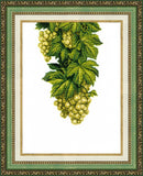 DIY Counted Cross Stitch Kit "Amber grapes" 8.1x10.8 in / 20.6x27.5 cm Model