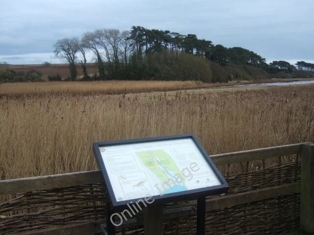 Photo 6x4 Reed beds and information board by river Otter Budleigh Salterton c201 Model