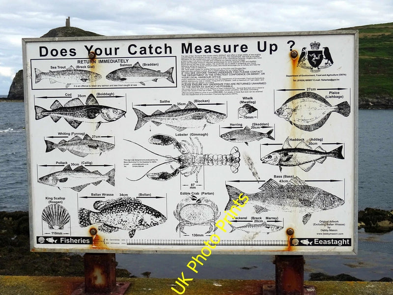 Photo 12x8 Fish catch size information board - Port Erin The board shows t c2016 Model