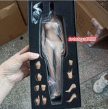 1/6 Flexible Female Makeup Figure Copper Suntan Medium Breast Body 12" Model Toy Model