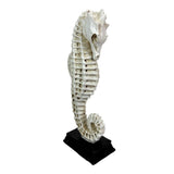Seahorse Statue Coastal Nautical Resin Tabletop Sculpture 10 Inch Off White Model