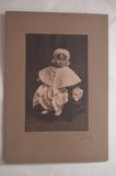 Antique Little Girl Sitting On Chair Photo On Board McCullagh Studio, Berkeley Model