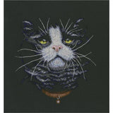 RTO counted Cross Stitch Kit "Cats' favourite" M576, 20x21 cm, DIY Model