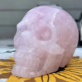2.3 lb  Rose Quartz Skull Figurine Pink Crystal Gemstone Mineral Collection Model