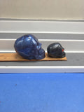 Skull Art Custom  2 Multi-color Decorative Artist Resin Unique Display Shelf Model