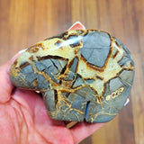 Nice Polished Septarian Stone Nodule Hand-Carved Bear Figurine Display Piece Model