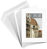 10 Pack Clear Photo Mat Set White Core Pre-Cut Backing + Clear Bags Picture Model