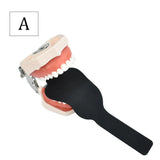 Dental Orthodontic Background Flexible Stainless Photo Image Contrast Board Set Model