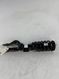 2017-2023 Tesla Model 3 Front Damper / Strut Assembly Dual Motor E3 1044363-00-G Model