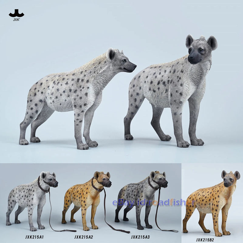 JXK 1/6 African Hyena Model Animal Hyaenidae Figure Scene Decor Collection 2 Ver Model