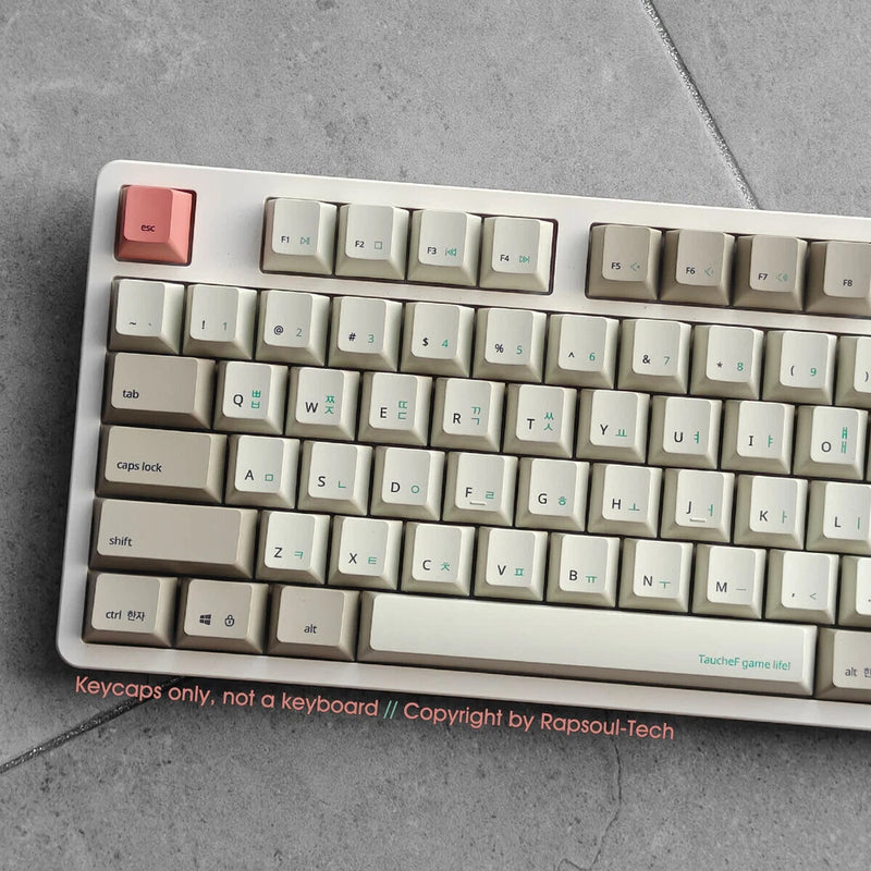 Retro Gray White 9009 PBT Dyesub Keycaps Set OEM for MX Mechanical Keyboards Model