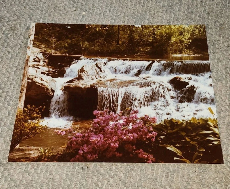 VTG Color 14x11 Shrubs Bushes Forest Azalea Waterfall Photograph Poster Board Model