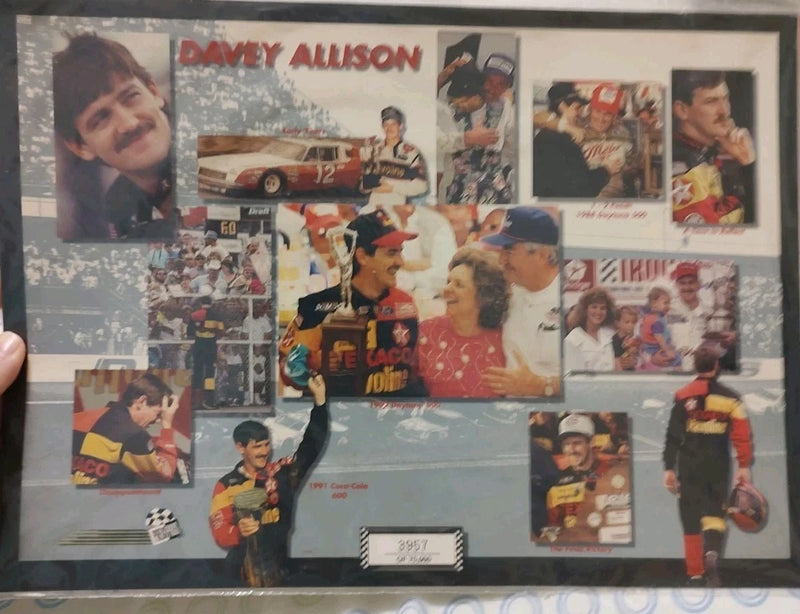 1991 Davy Allison Photo Board NOS Model