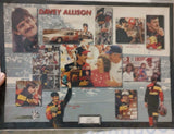 1991 Davy Allison Photo Board NOS Model
