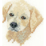 Heritage counted cross stitch kit Aida "Golden Labrador Puppy (A)", LFGL1037-A, Model