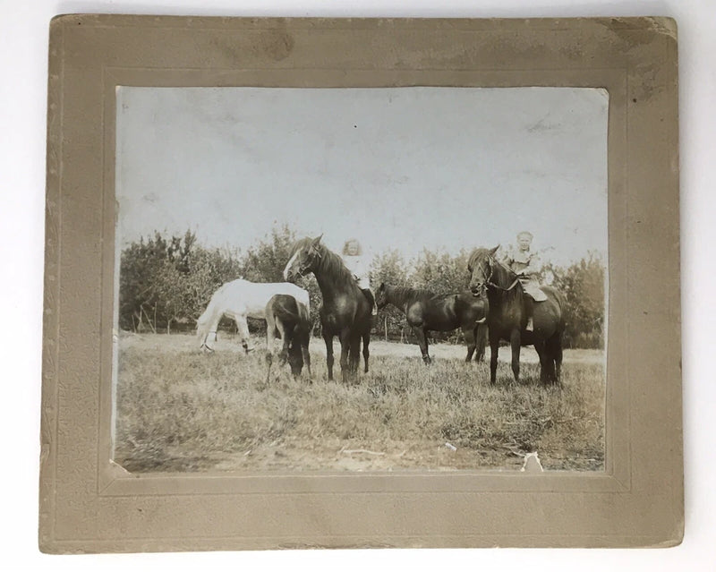 Antique Photo on Board of 2 Little Girls on Horses in Field Small Size ID'd Model