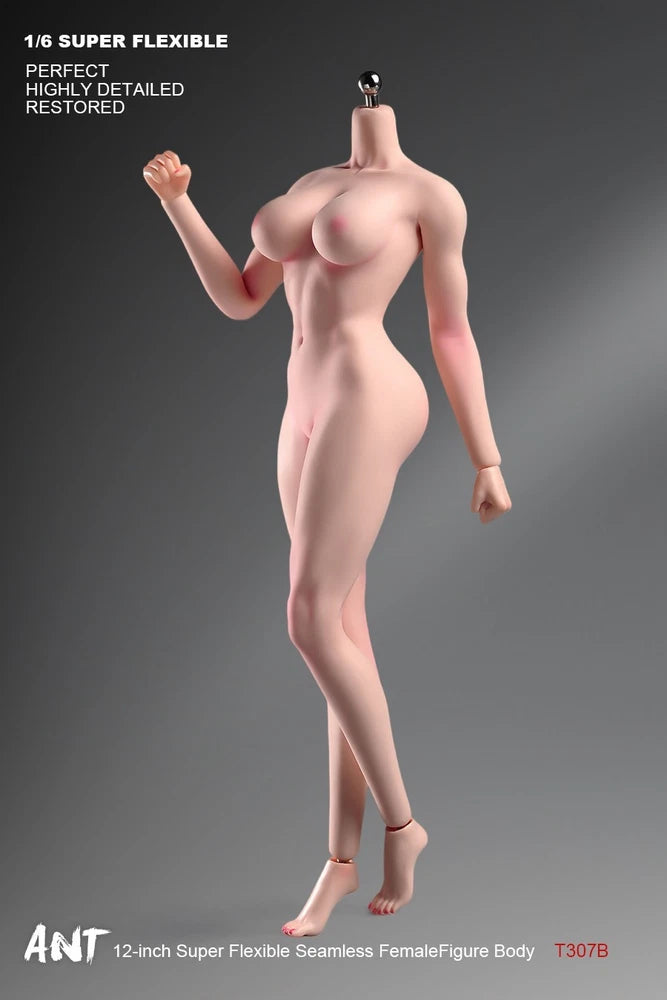 ANT T307 1/6th Female Fitness Model Action Figure Body 12in Muscle Bust Soldier Model