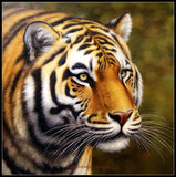 Counted Cross Stitch Kits Needlework Crafts DIY - Portrait of Tiger Model