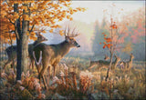 Needlework Crafts Full Embroidery DIY Counted Cross Stitch Kits - Autumn Elk Model