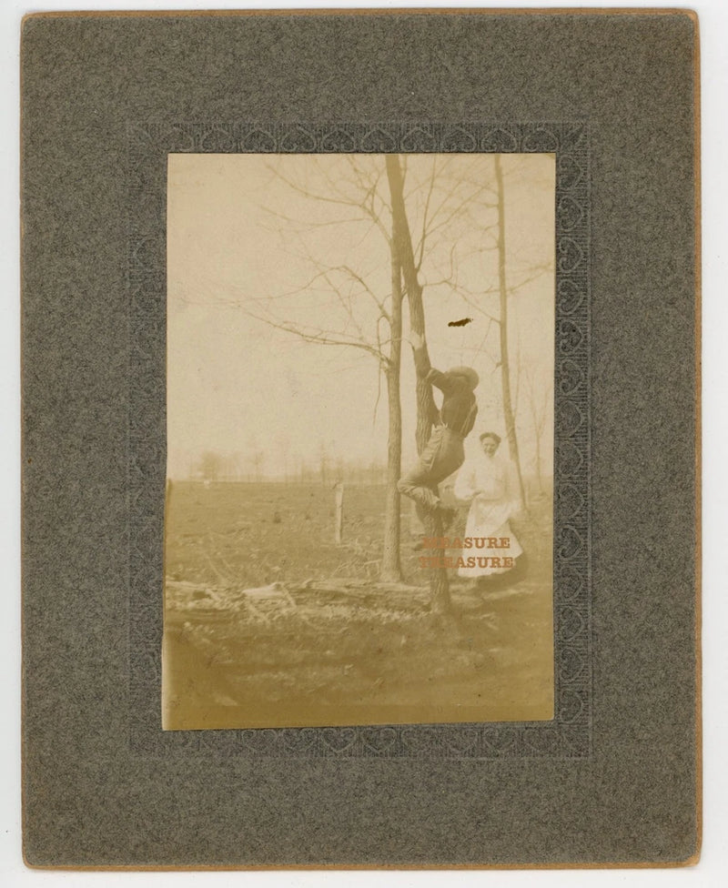 C.1910 MAN CLIMBING TREE, WOMAN LAUGHING(?) HUMOROUS FUNNY PHOTO ON BOARD F42 Model