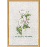 Permin counted cross stitch kit "Calystegia", 20x30cm, DIY, 70-1832 Model
