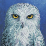 Bothy Threads counted cross stitch kit "The Menagerie: Wisdom", XRF12, 26x26cm, Model