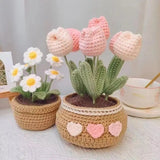 DIY Crochet Daisy Kit for Beginners Handmade Yarn Flower Bouquet with Pot Model
