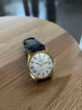 OMEGA Vintage Gen Ve Mechanical Watch JPN Limited Edition Rare JPN Watch Model V Model