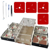 Ant Farm Nest Science DIY Terrarium Kit Care for Live Ants Ant Habitat with W... Model