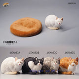 JXK 1/6 Lethargic Cat 2.0 Model Cute Pet Animal Figure Collector Decor Painted Model