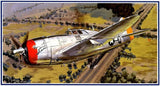 Micro Ace 1/48 Great War Machine Series No.16 US Army Republic P-47D Thunderbolt Model